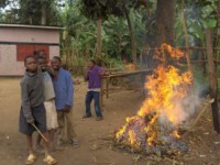 Nous avons besoin de bois à brûler pour cuisiner etc